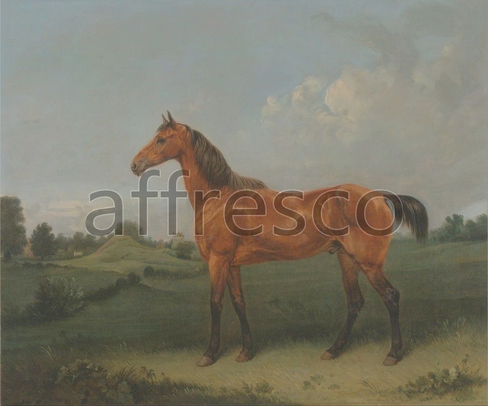 Фреска Edmund Bristow, A Bay Horse in a Field