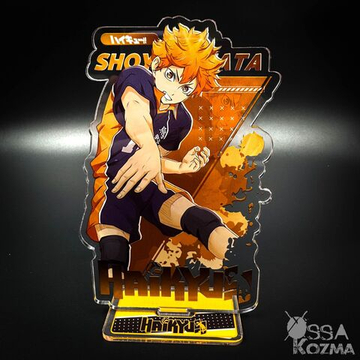 Фигурка Шоё Хината