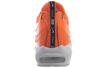 Кроссовки Nike Air Max 95 Prm Overbranding