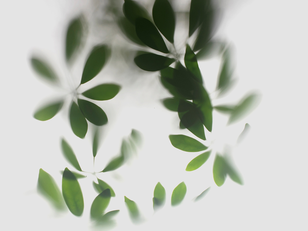 Дизайнерские обои Wall Street GreenDay-21