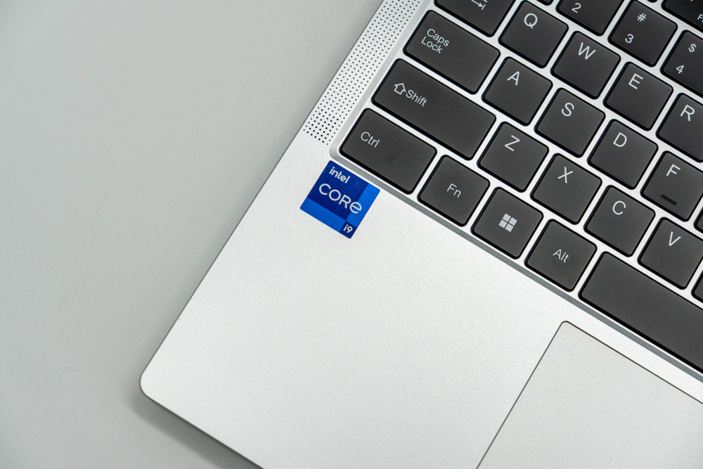 Ноутбук Hasee Elegant X5 ( i9-12900H )