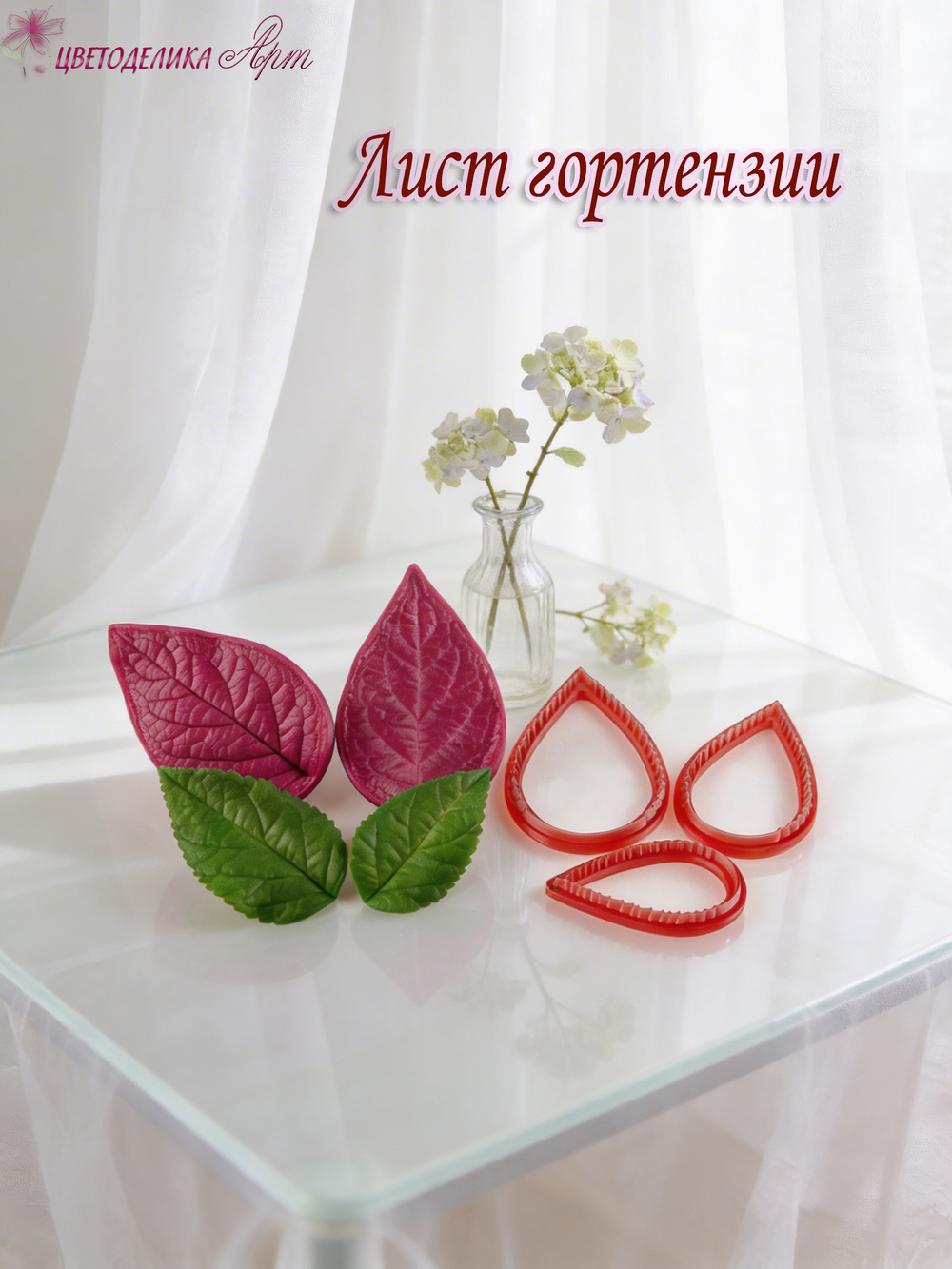 Лист гортензии