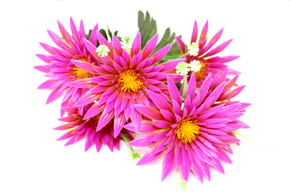 Букет Астры пластик