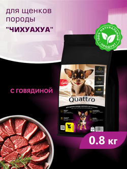 Корм сухой для щенков породы Чихуахуа, с говядиной, 800 гр, QUATTRO