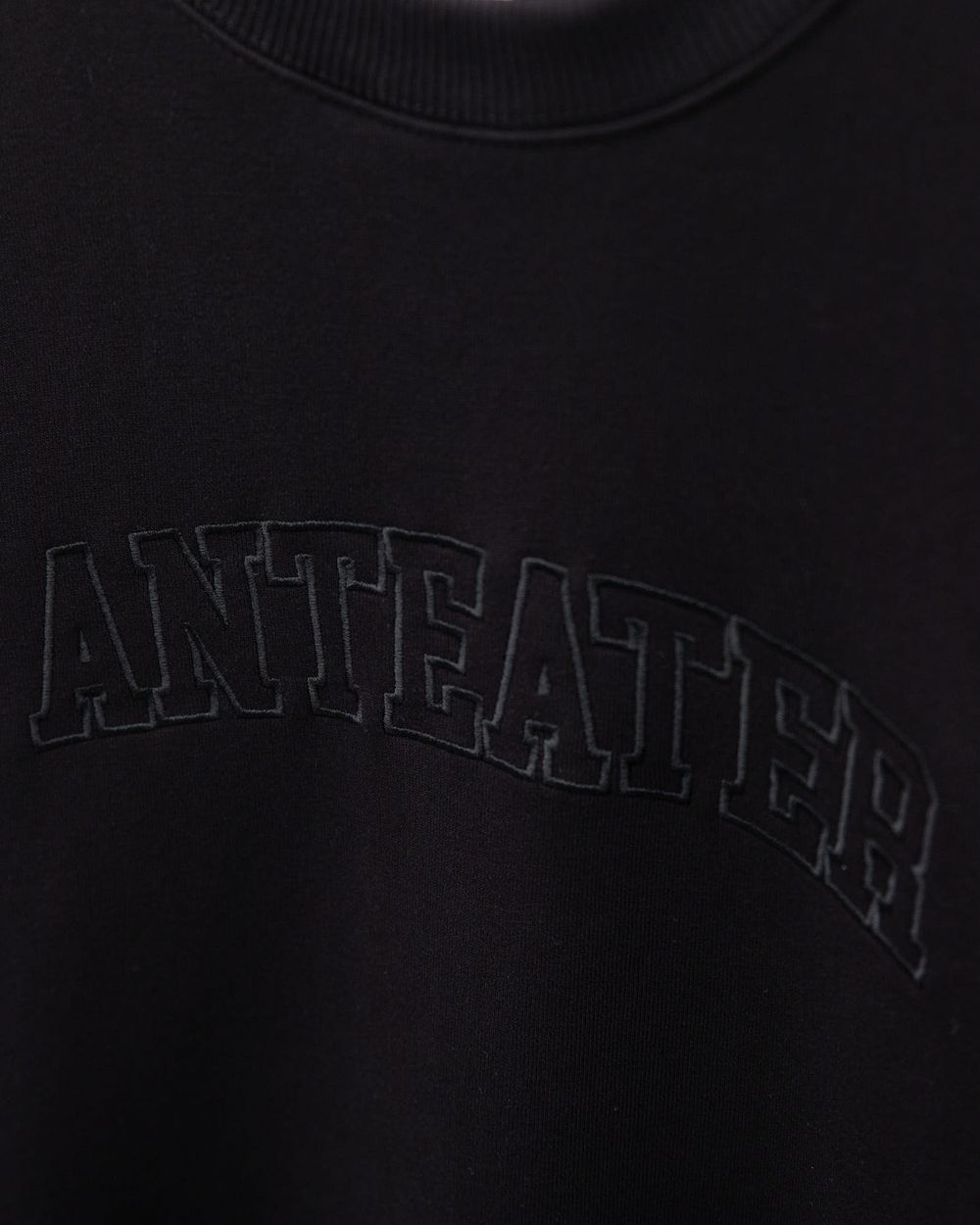 Толстовка Anteater Crewneck BigText черная