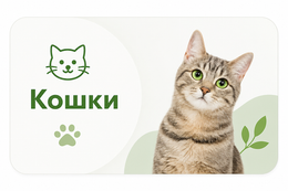Кошки