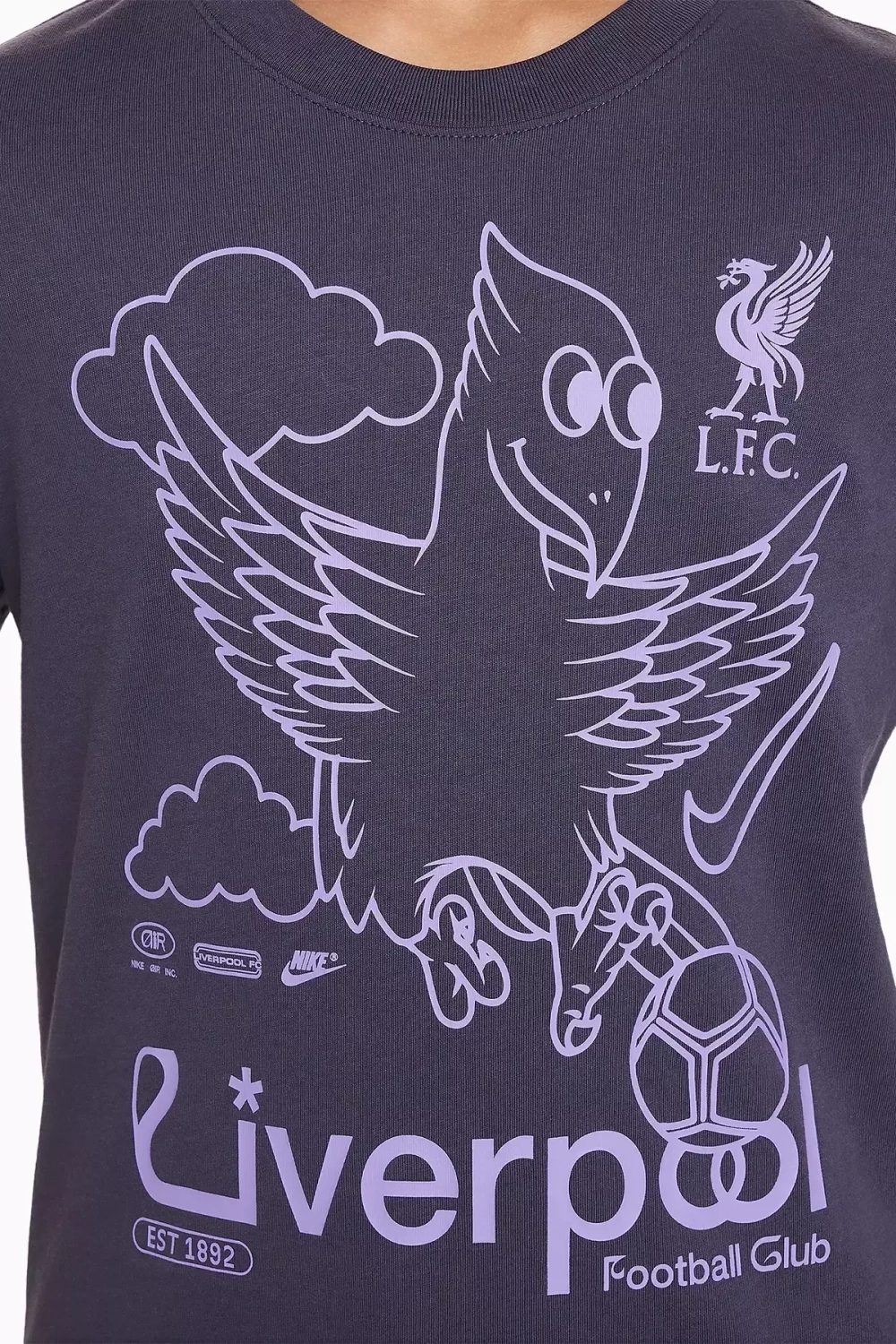 Футболка Nike Liverpool FC 23/24 Air Junior