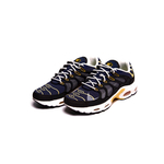 Nike Air Max Terrascape TN Plus "Michigan"