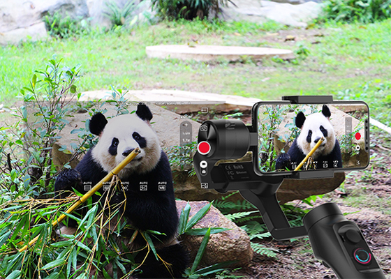 Стедикам Gudsen Moza Mini-Mi 2019