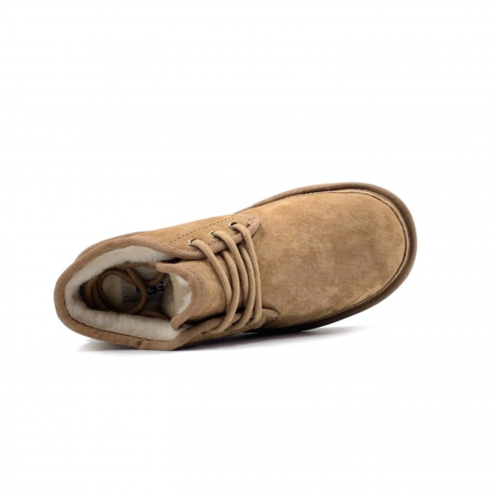 Ugg Mens Neumel Low Chestnut