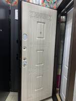 Дверь входная Леда