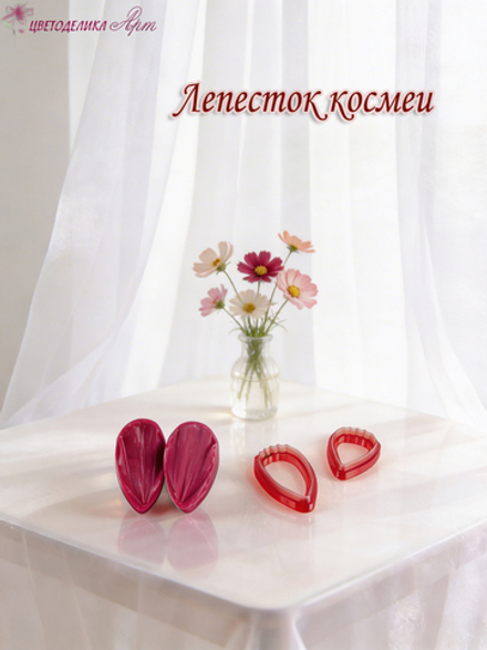 Лепесток космеи