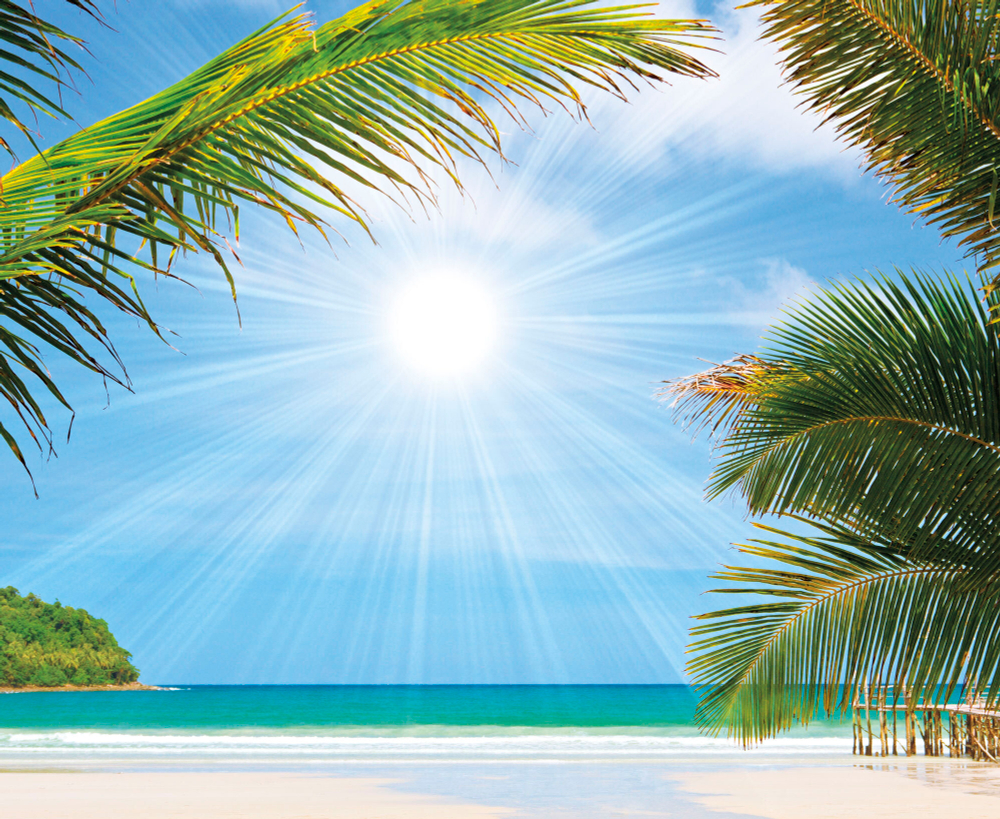 Коллекция Морской пейзаж