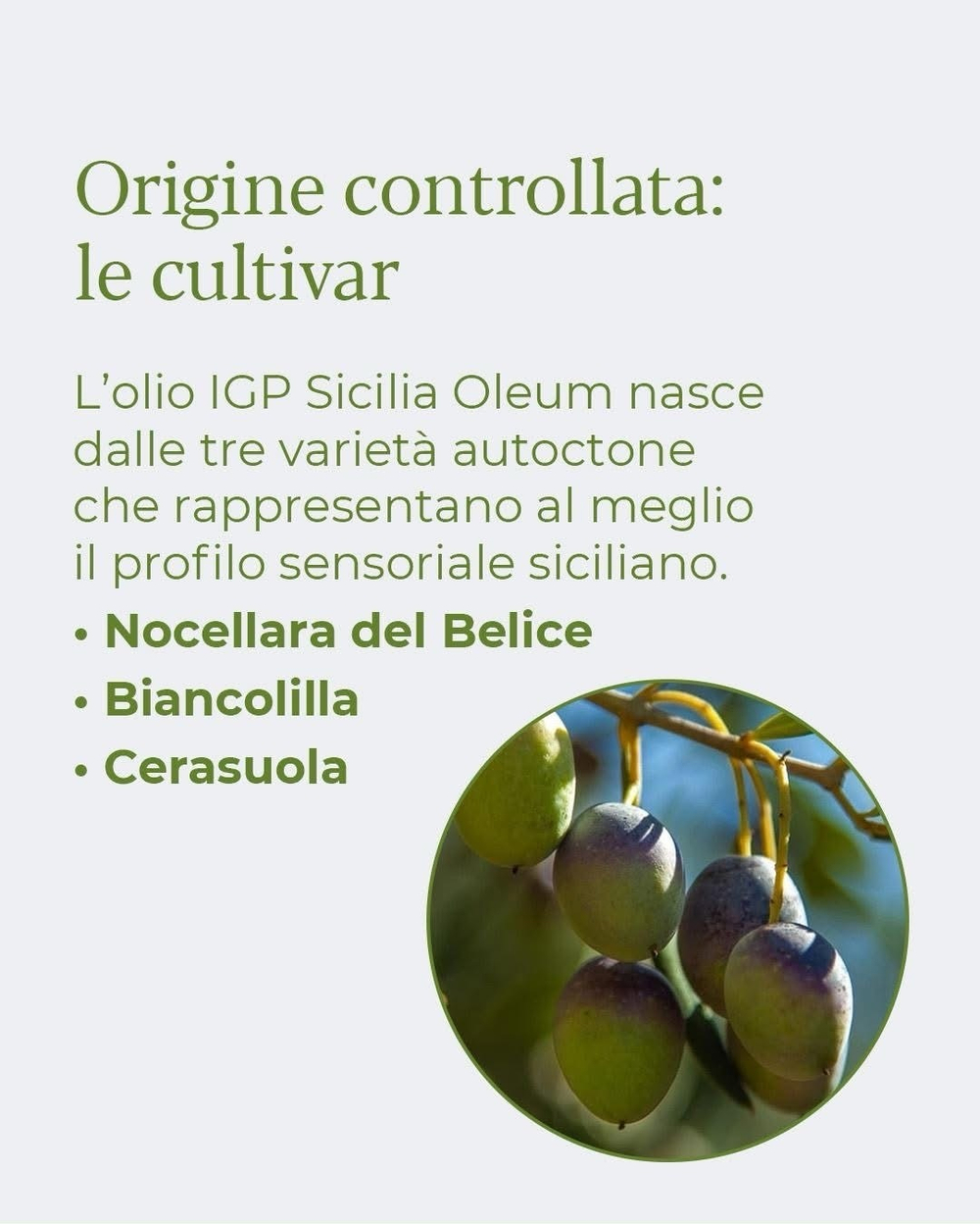 Оливковое масло Olеum Sicilia Halisah 1л, Сицилия, Италия