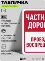 Табличка для парковки "Частная дорога, проезд воспрещен", для дома, офиса, организаций, 40х30 см, Silver Plane x Айдентика Технолоджи