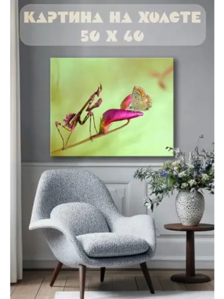 Картина на стену 40 X 50 Богомол и бабочка