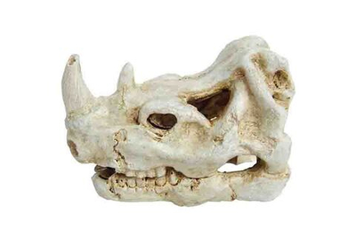 Декорация пластиковая PRIME Череп носорога 7.5X5X5см