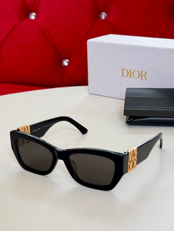 Christian Dior Glasses