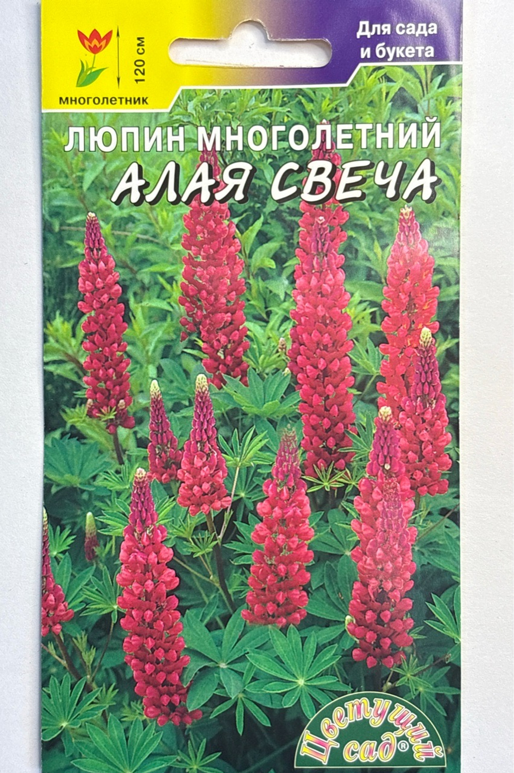 Люпин Алая свеча 0,2 г СМЦ-226