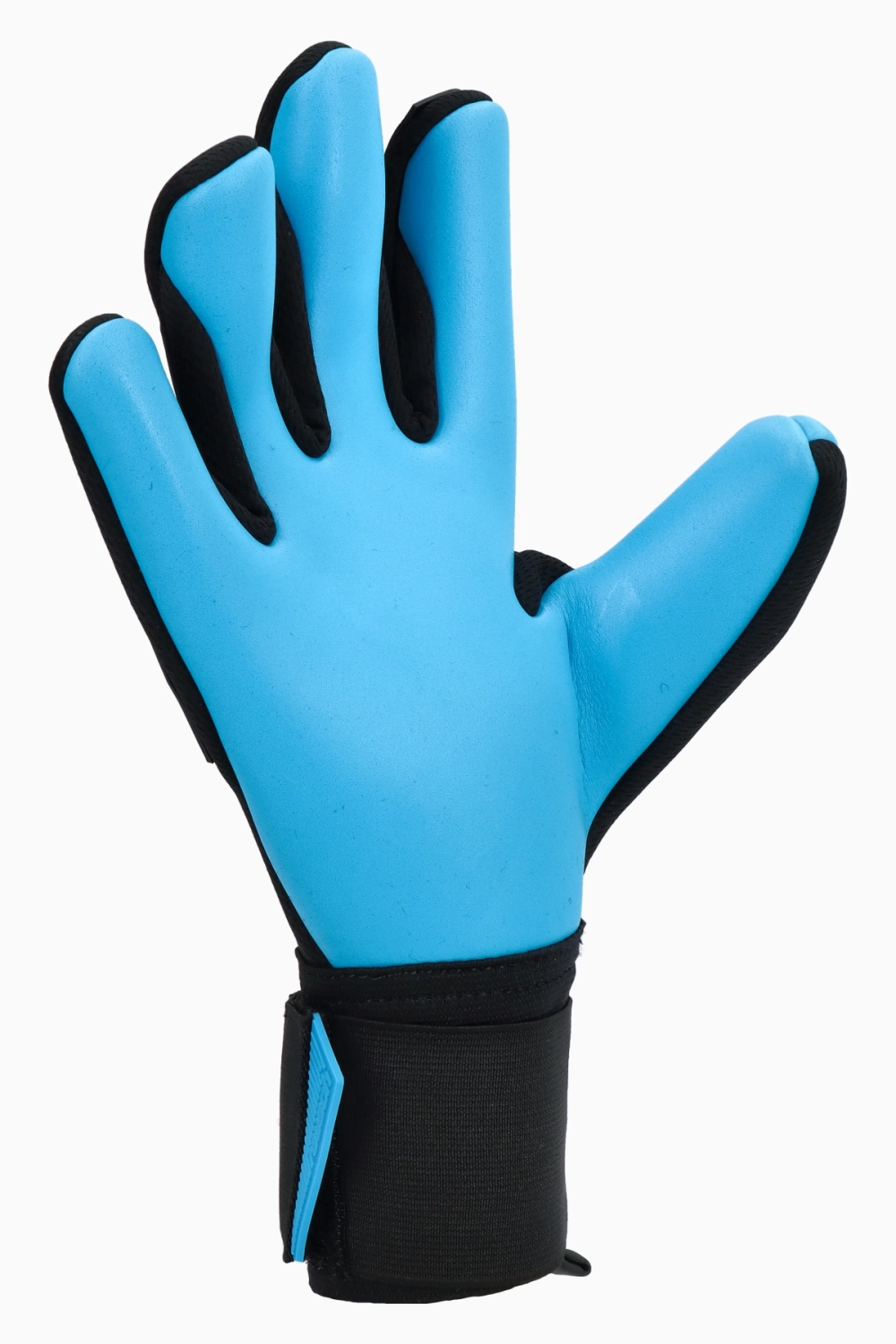 Вратарские перчатки Reusch Attrakt Freegel Aqua - черный