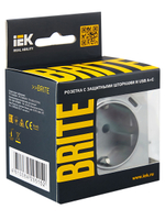 BRITE Розетка 1-местная с заземлением с защитными шторками 16А с USB A+C 18Вт РЮш11-1-БрА алюминий IEK