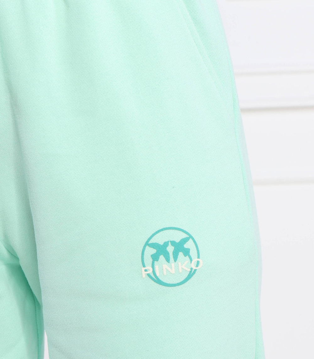 спортивные штаны Pinko - зеленый(100371 A0KN)