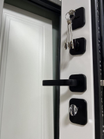 Дверь входная Сохо