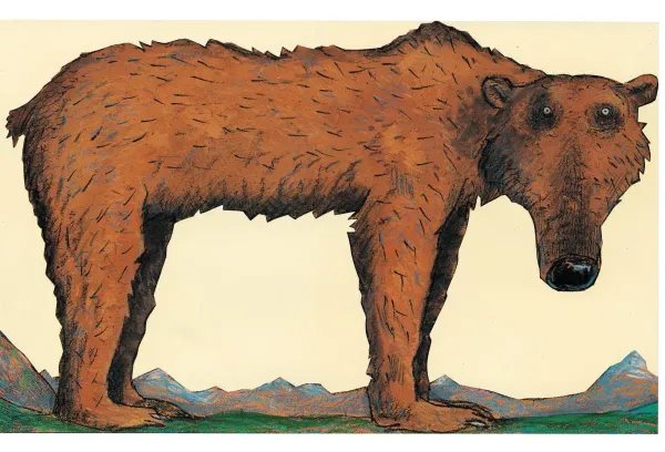 Медвежье чудо