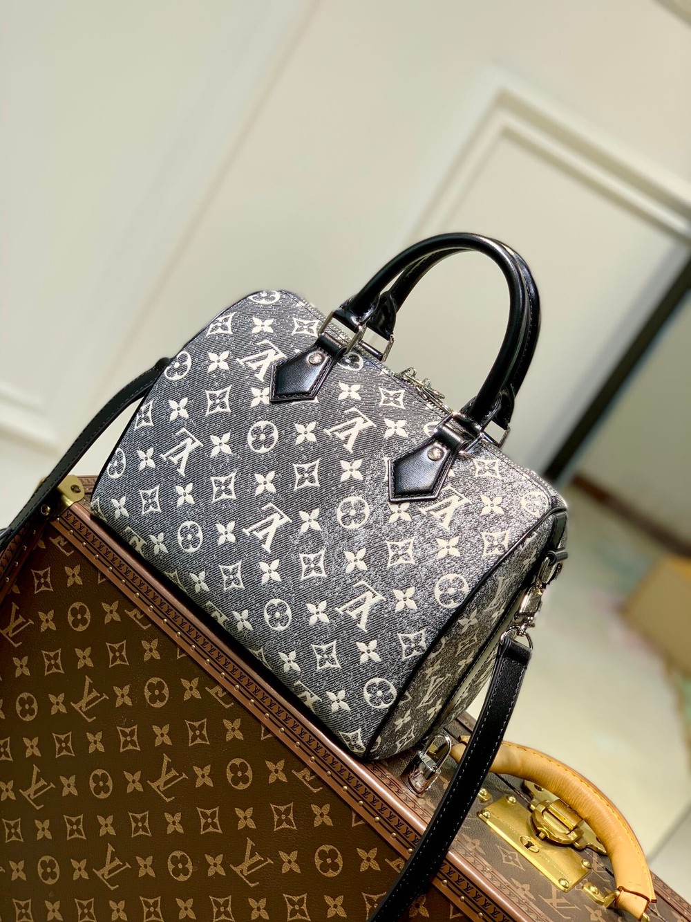 Louis Vuitton Speedy 25