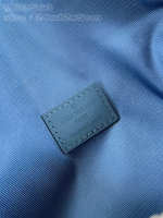 Louis Vuitton Pilot Wearable Wallet