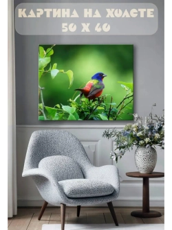 Картина на стену 40 X 50 Цветная птица