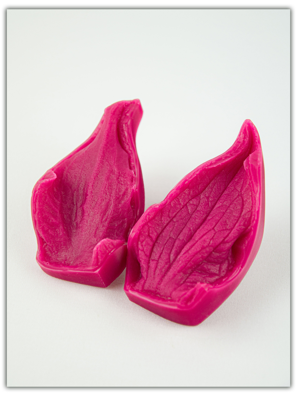 Чашелистик подсолнуха