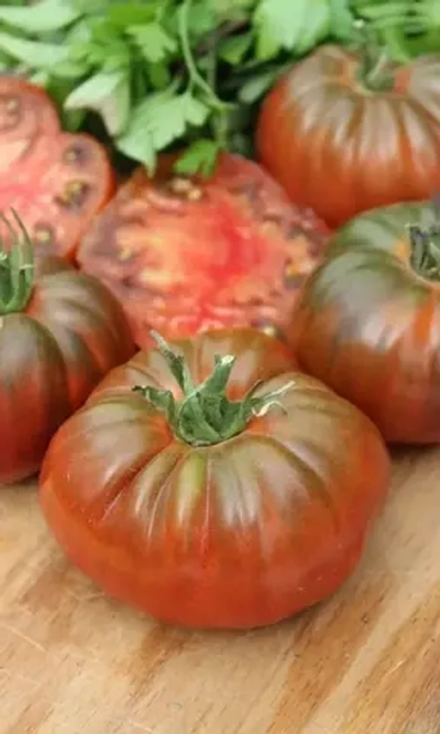 Семена Томат Цыган 20 шт (УД) Е/П