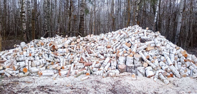 Наши услуги