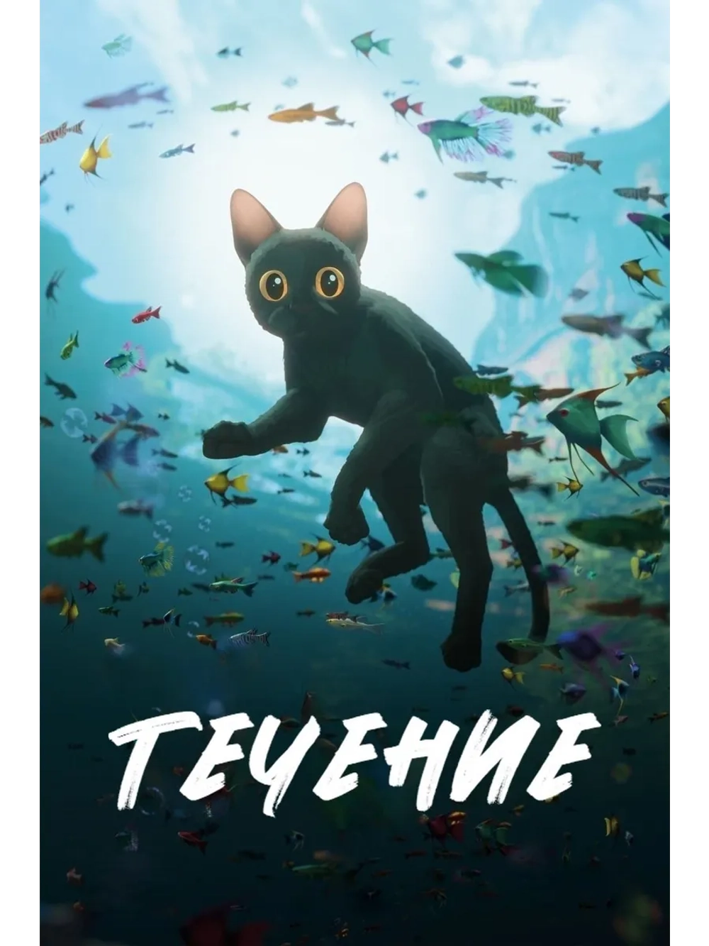 Течение (2024) (DVD-R), Мультфильм DVD