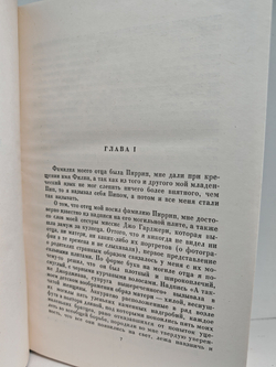 Чарльз Диккенс. Собрание сочинений в тридцати томах. Том 23. Большие надежды