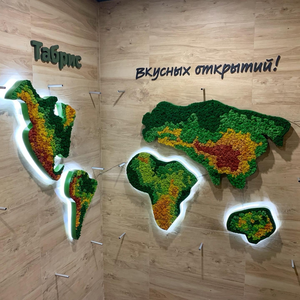 Карта мира из стабилизированного мха ягеля для супермаркета "Табрис"  г.Краснодар