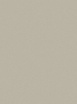 Пантон - 61 (бежевая)