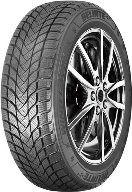 Delinte Winter WD6 205/55 R17 95H