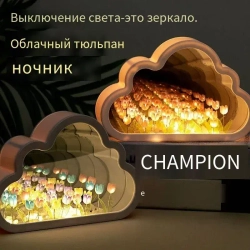 Ночник, H2