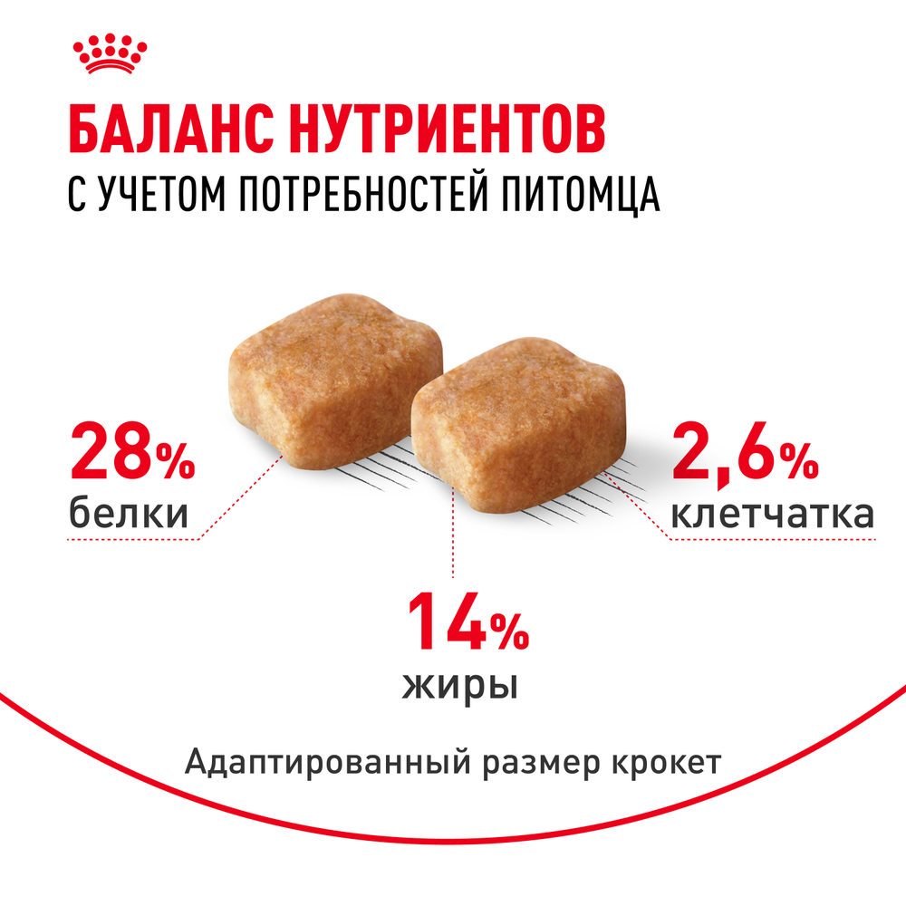 Сухой корм Royal Canin Dachshund Adult для взрослых собак породы Такса от 10 месяцев 7,5кг
