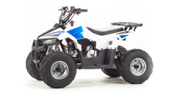 ATV Motoland 110 EAGLE (2020г.)