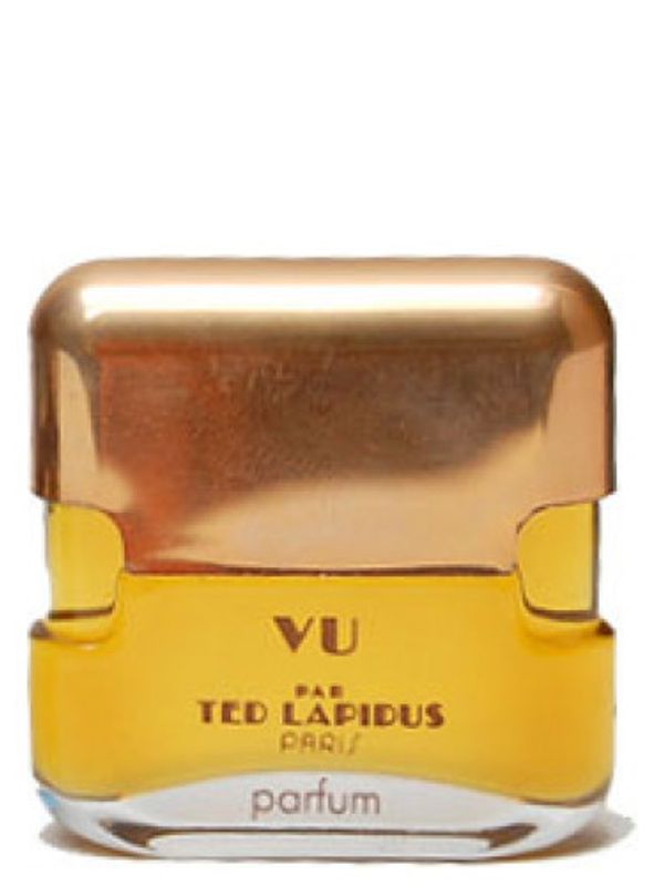 Ted Lapidus Vu par
