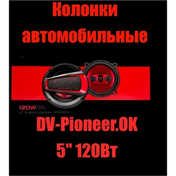 Автоколонки 13см. 2-Way 5" с сетками "комплект2шт" DV-pioneer.Ok 1317