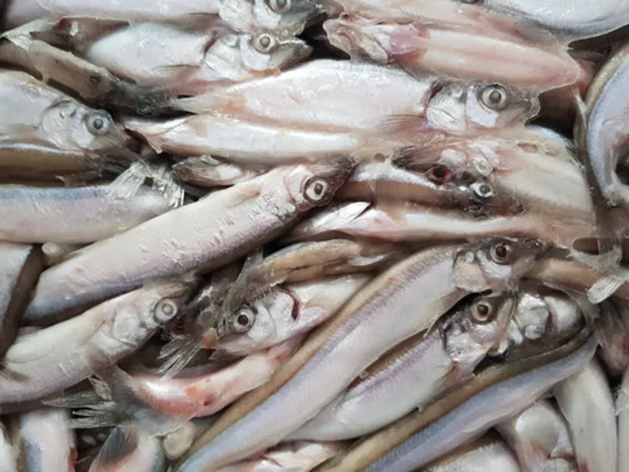 Мойва н/р с/м (1/20) 