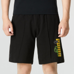 Шорты Puma Ff Knit Shorts Logo, 538777-01