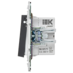 SKANDY Кнопка звонка с индикацией для отелей 10А SK-V17T титан IEK