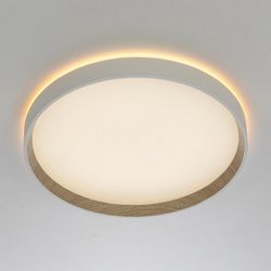 Накладной светильник Citilux ETALON CL750320R