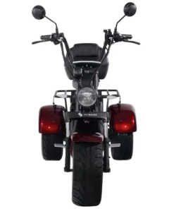 Электроскутер SKYBOARD CITYCOCO TRIKE BR80