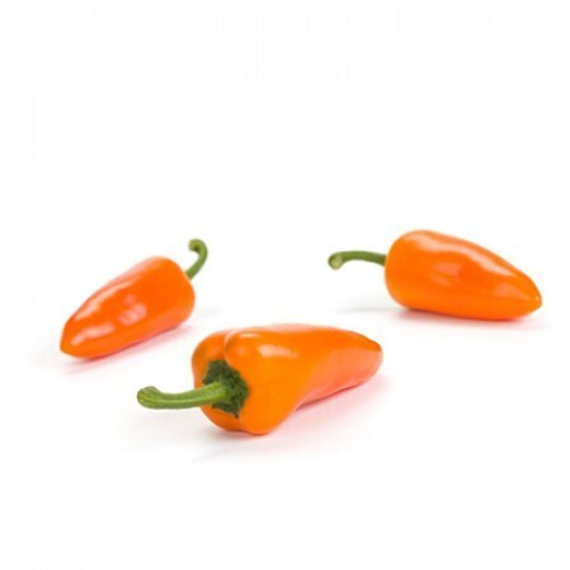 ОРАНЖ ТАРТА F1 семена перца сладкого Rijk Zwaan цена – фото 2